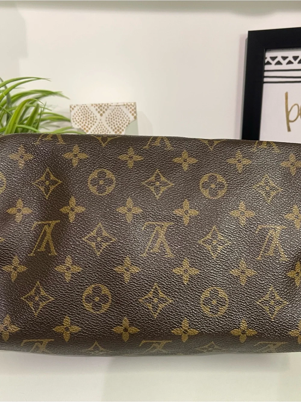 Louis Vuitton Monogram Speedy 25